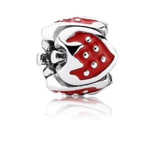 ✨🛍✨ Pandora Strawberry Charm
